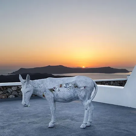 Lilium Santorini ثيرا